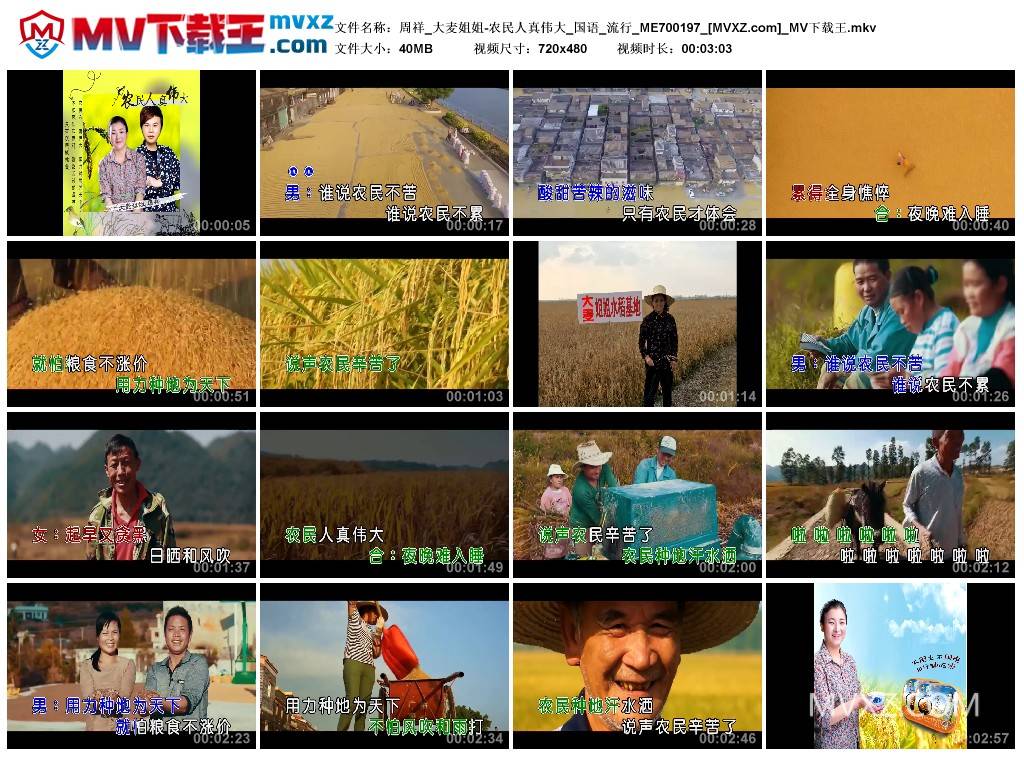 周祥_大麦姐姐-农民人真伟大_国语_流行_ME700197